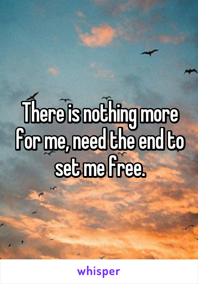 There is nothing more for me, need the end to set me free.