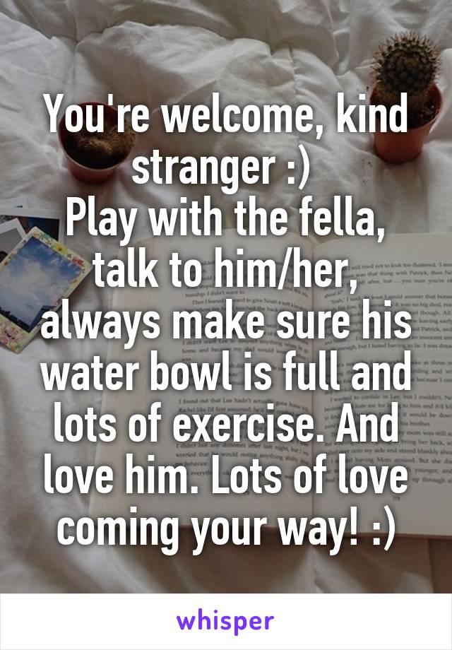 You're welcome, kind stranger :) 
Play with the fella, talk to him/her, always make sure his water bowl is full and lots of exercise. And love him. Lots of love coming your way! :)