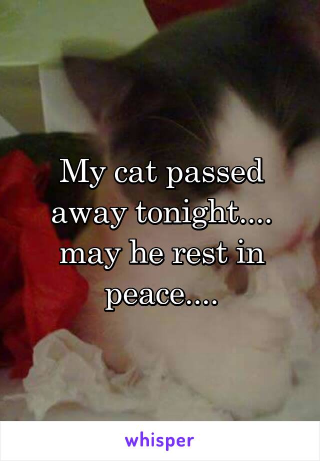 My cat passed away tonight.... may he rest in peace....