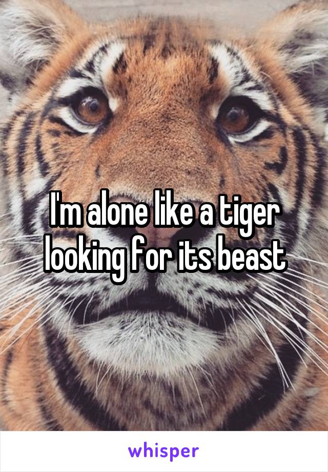 I'm alone like a tiger looking for its beast