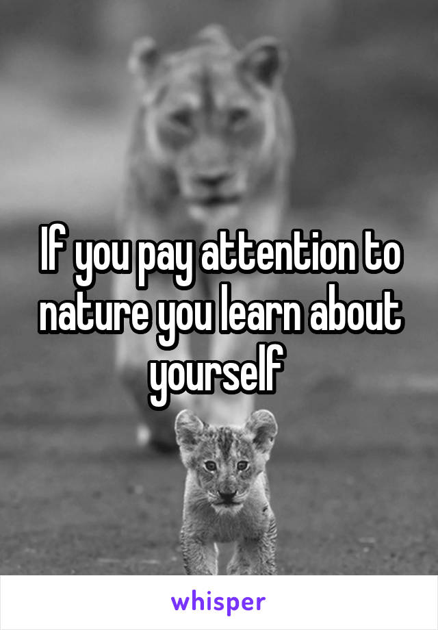 If you pay attention to nature you learn about yourself 