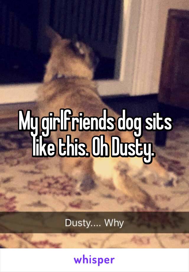 My girlfriends dog sits like this. Oh Dusty. 