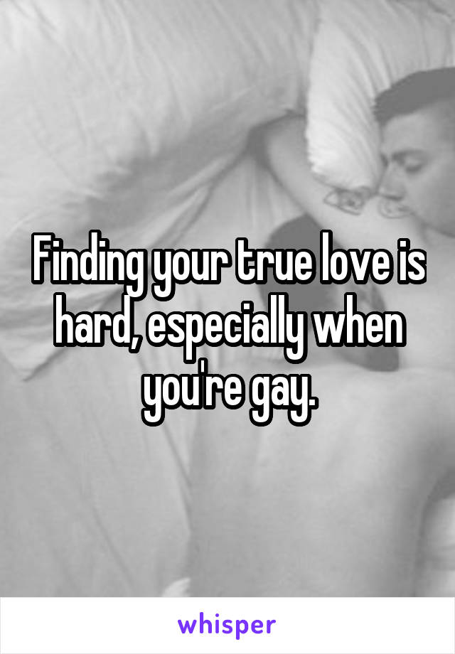 Finding your true love is hard, especially when you're gay.