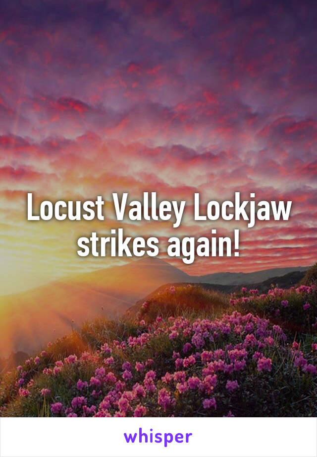 Locust Valley Lockjaw strikes again!