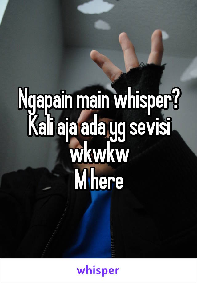 Ngapain main whisper?
Kali aja ada yg sevisi wkwkw
M here