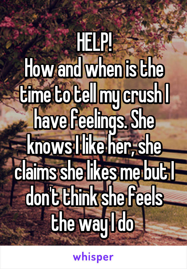 HELP!
How and when is the time to tell my crush I have feelings. She knows I like her, she claims she likes me but I don't think she feels the way I do 