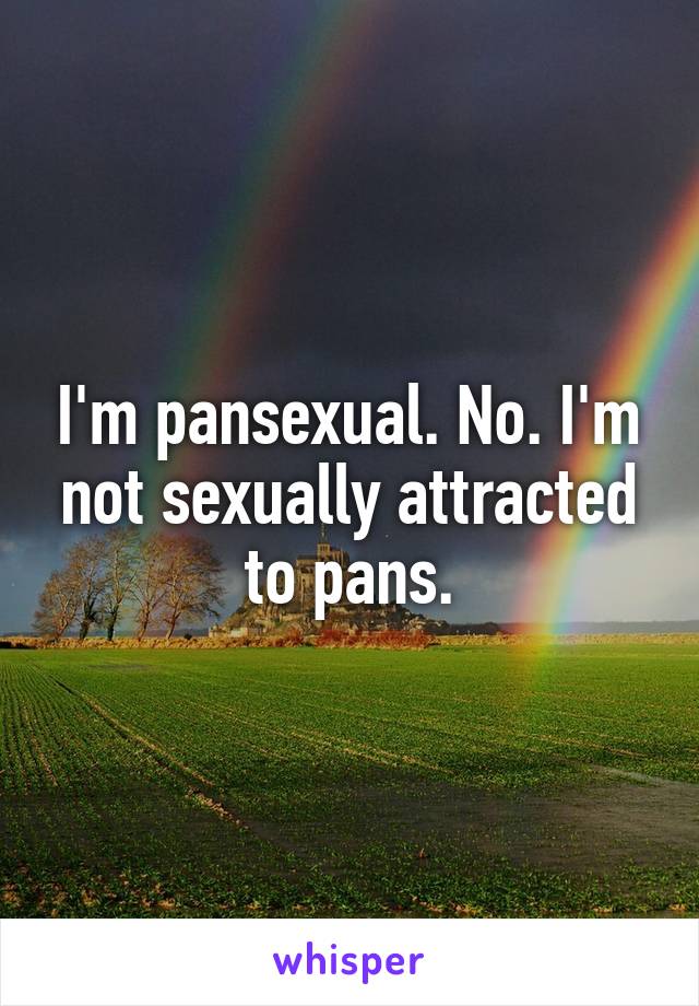 I'm pansexual. No. I'm not sexually attracted to pans.