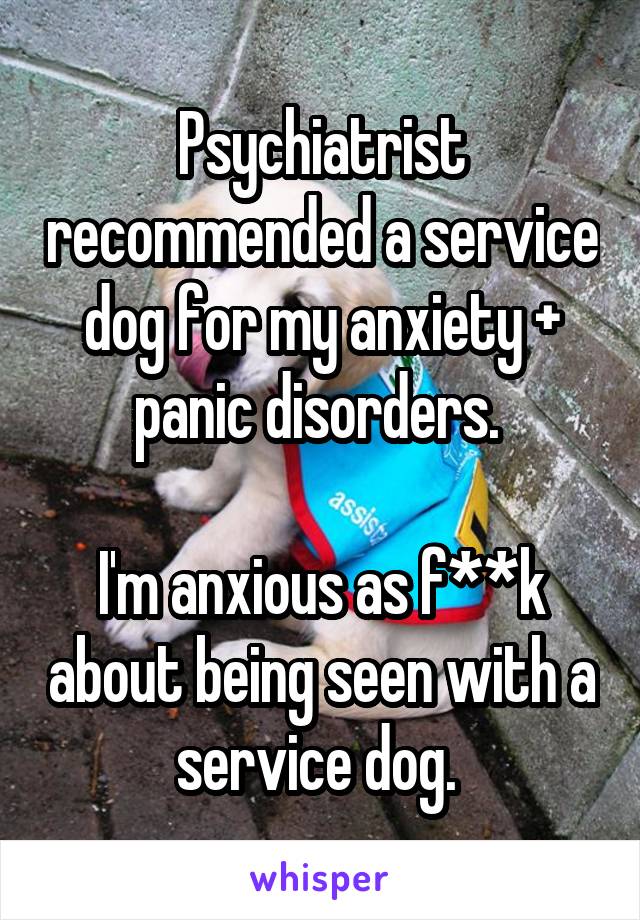 Psychiatrist recommended a service dog for my anxiety + panic disorders. 

I'm anxious as f**k about being seen with a service dog. 