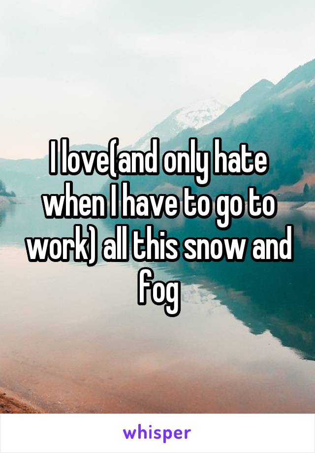 I love(and only hate when I have to go to work) all this snow and fog