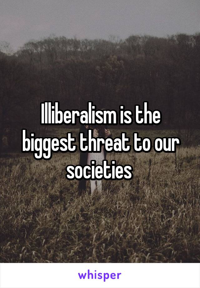 Illiberalism is the biggest threat to our societies 