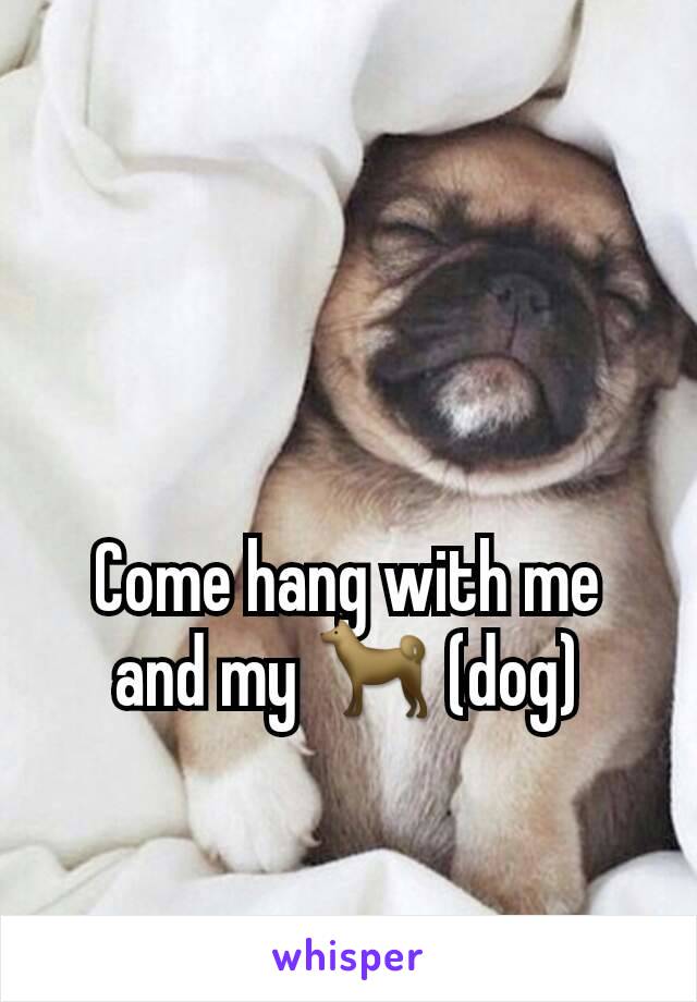 Come hang with me and my 🐕 (dog)