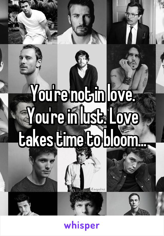 You're not in love. You're in lust. Love takes time to bloom...