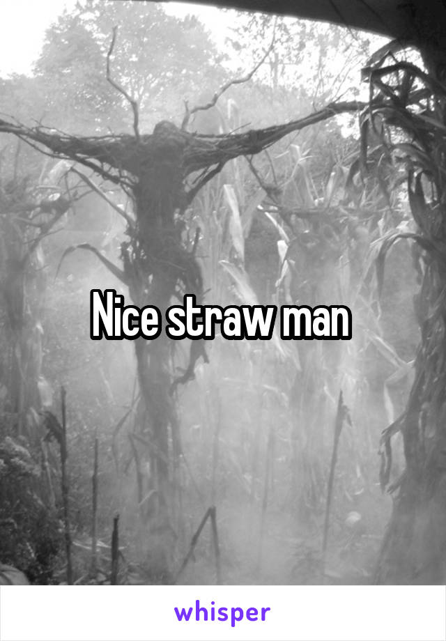 Nice straw man 