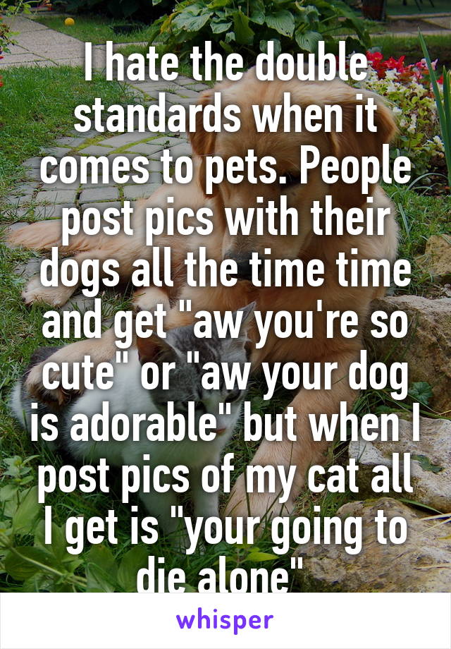 I hate the double standards when it comes to pets. People post pics with their dogs all the time time and get "aw you're so cute" or "aw your dog is adorable" but when I post pics of my cat all I get is "your going to die alone" 