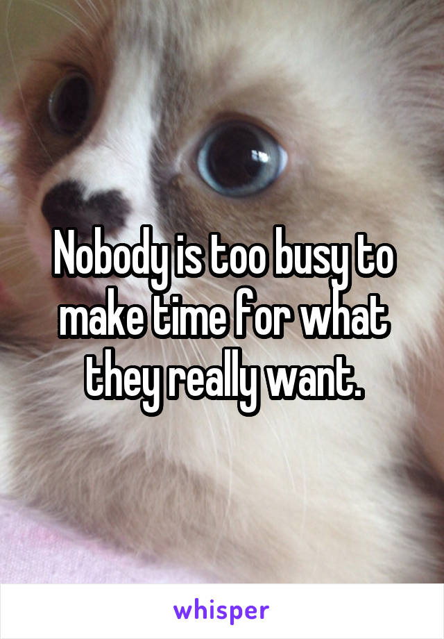 Nobody is too busy to make time for what they really want.