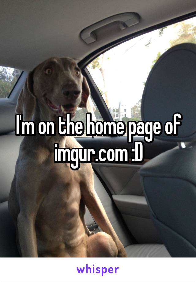 I'm on the home page of imgur.com :D