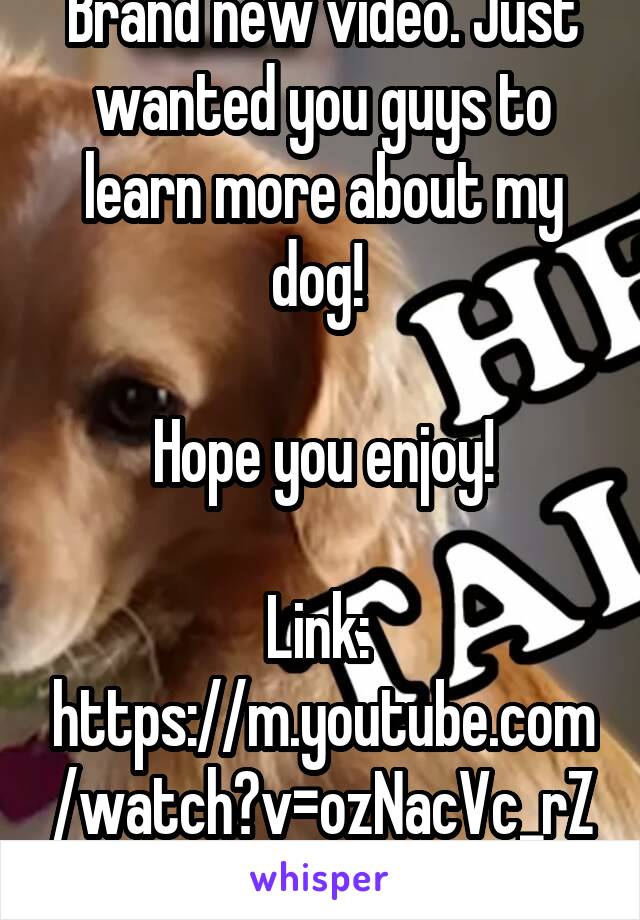 Brand new video. Just wanted you guys to learn more about my dog! 

Hope you enjoy!

Link:  https://m.youtube.com/watch?v=ozNacVc_rZs