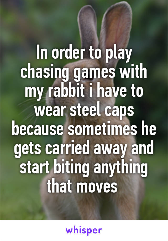 In order to play chasing games with my rabbit i have to wear steel caps because sometimes he gets carried away and start biting anything that moves 