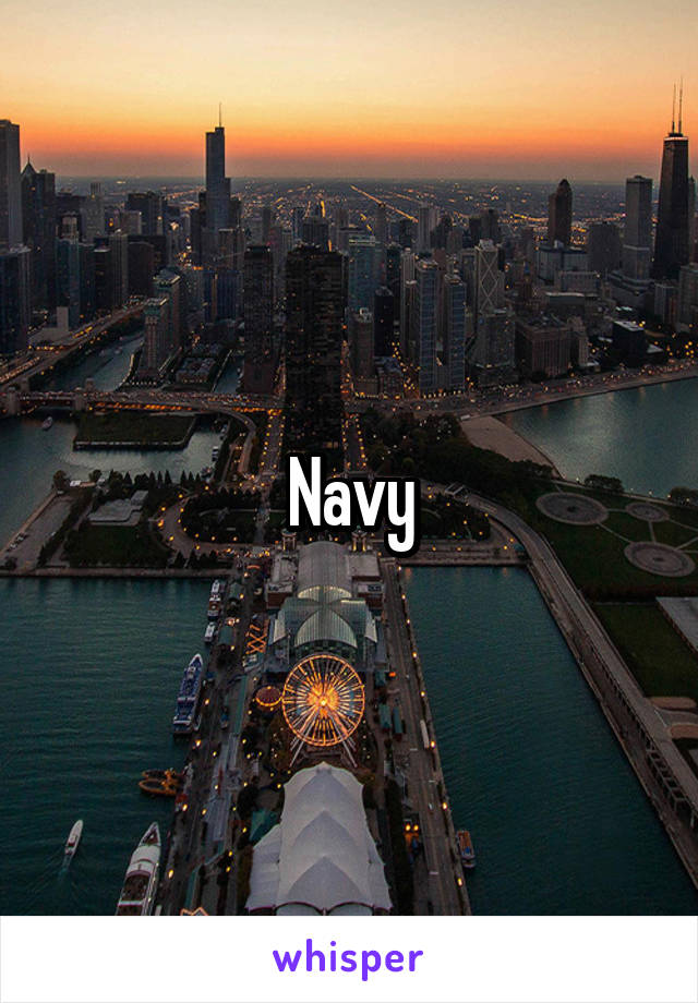 Navy