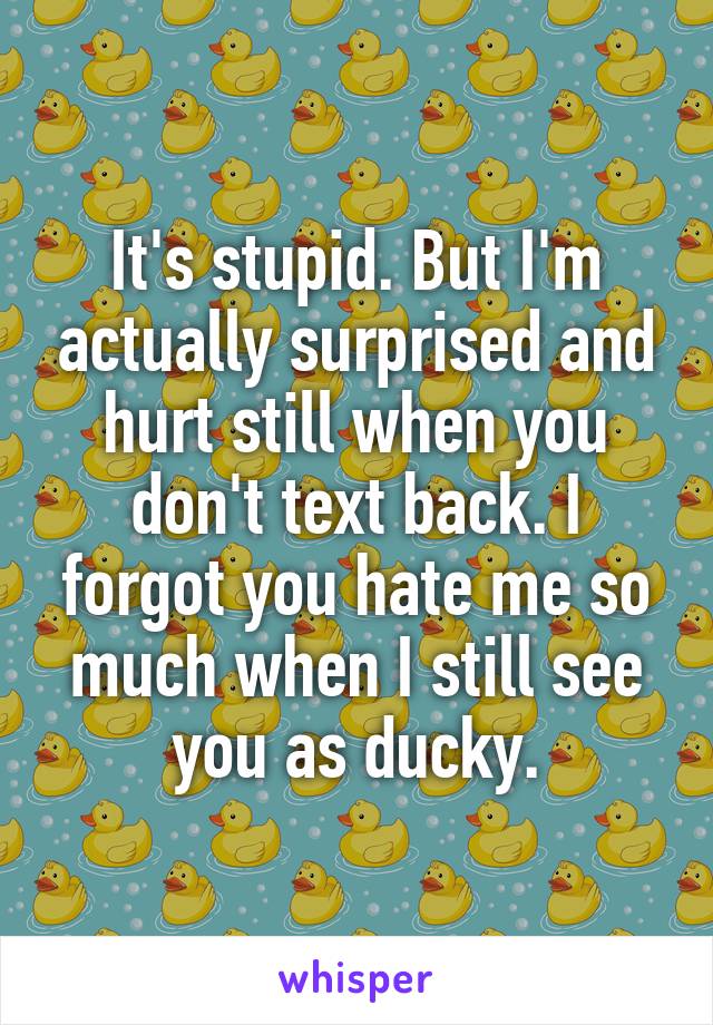 It's stupid. But I'm actually surprised and hurt still when you don't text back. I forgot you hate me so much when I still see you as ducky.