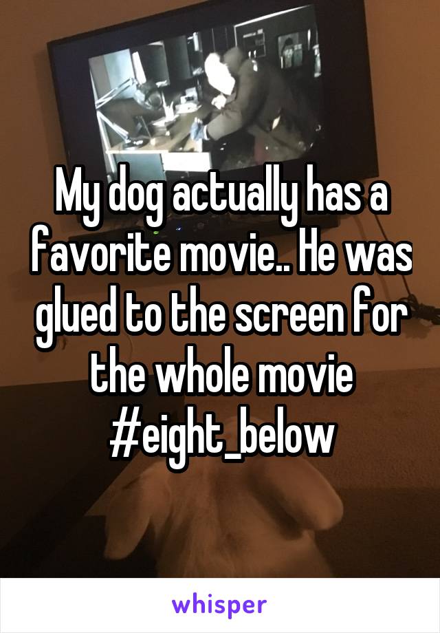 My dog actually has a favorite movie.. He was glued to the screen for the whole movie #eight_below