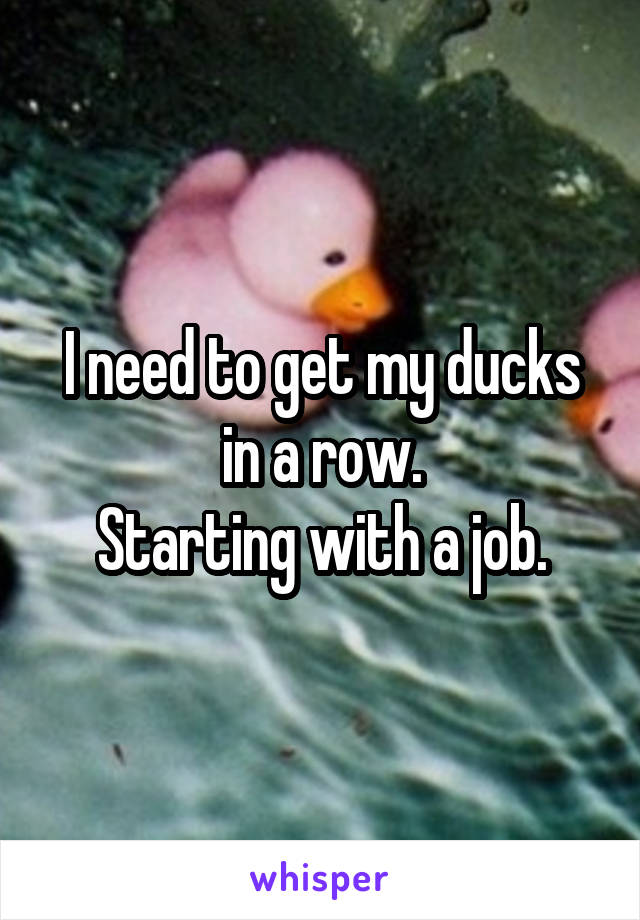 I need to get my ducks in a row.
Starting with a job.