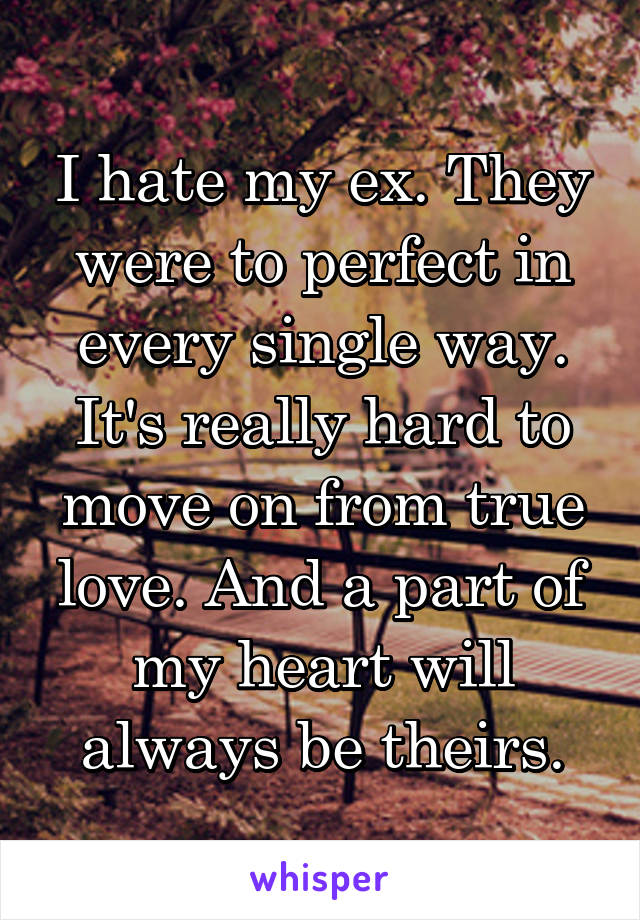 I hate my ex. They were to perfect in every single way. It's really hard to move on from true love. And a part of my heart will always be theirs.