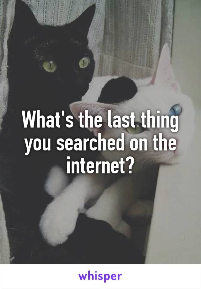 What's the last thing you searched on the internet?