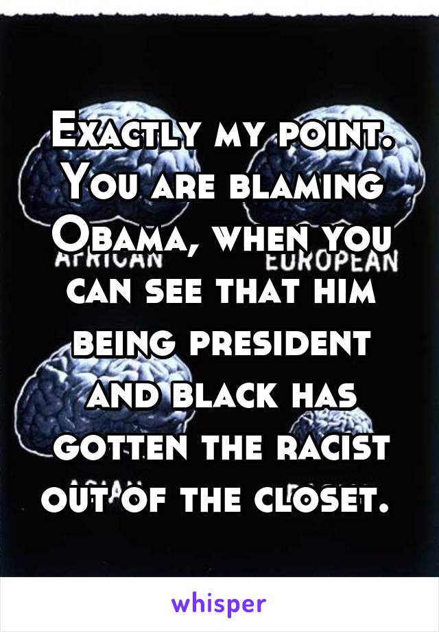 Exactly my point. You are blaming Obama, when you can see that him being president and black has gotten the racist out of the closet. 