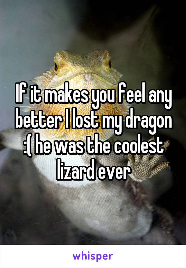 If it makes you feel any better I lost my dragon :( he was the coolest lizard ever