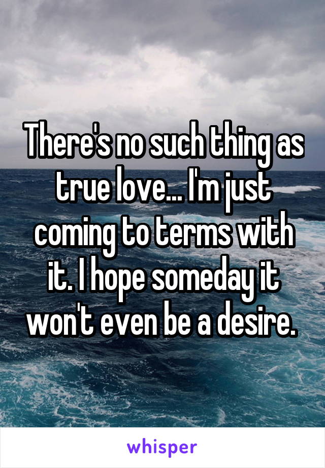 There's no such thing as true love... I'm just coming to terms with it. I hope someday it won't even be a desire. 