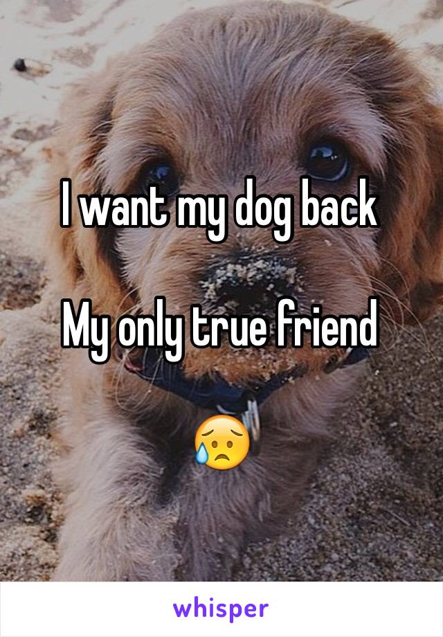 I want my dog back

My only true friend

😥