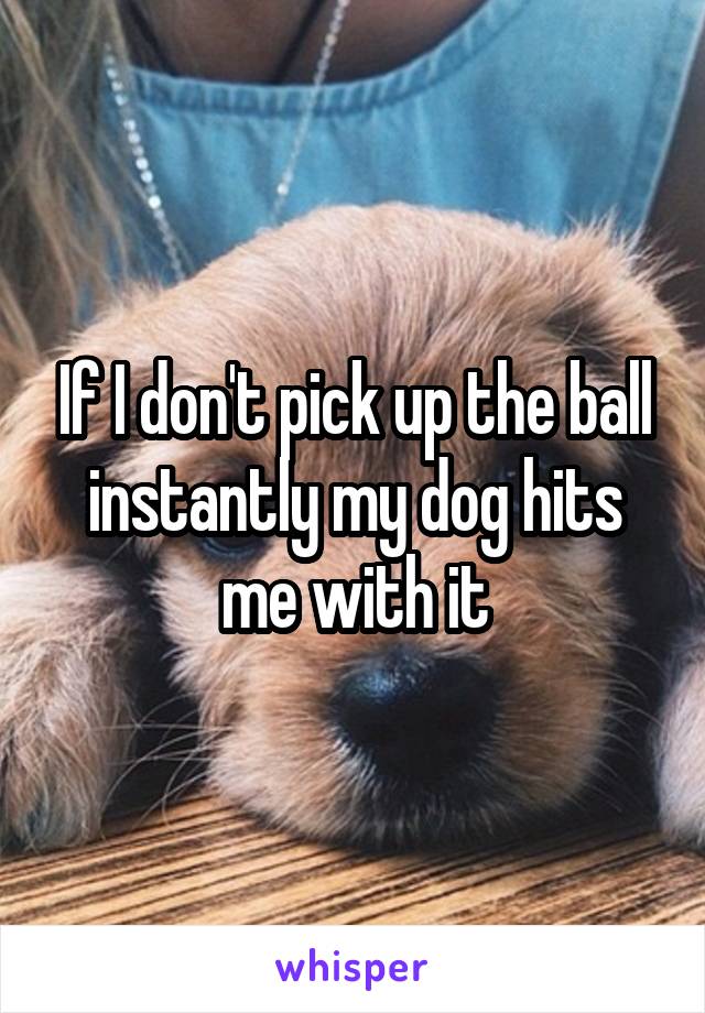 If I don't pick up the ball instantly my dog hits me with it