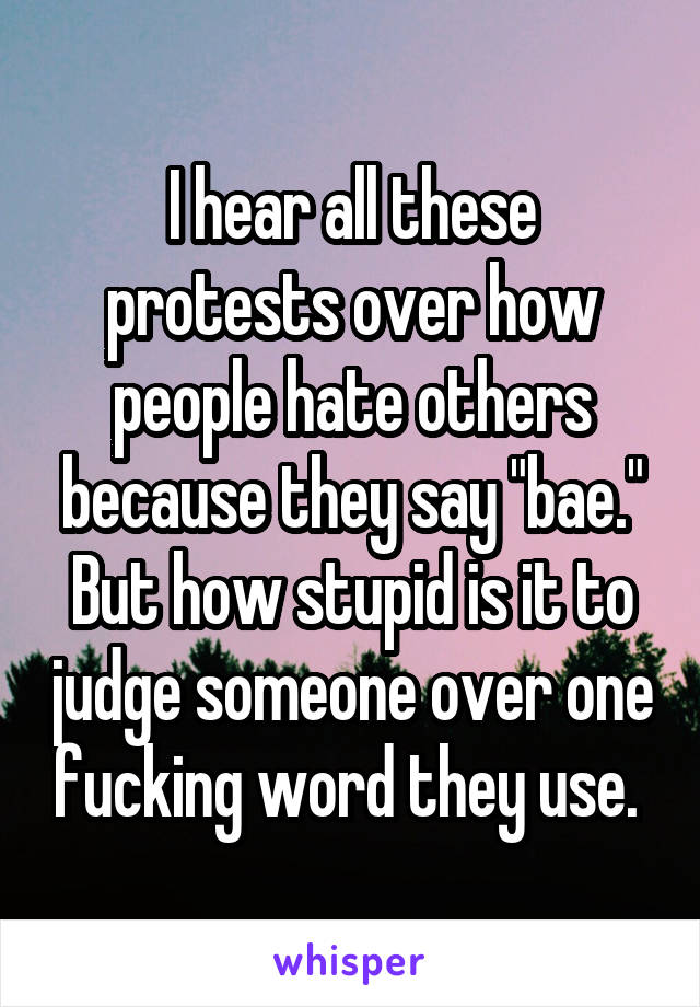 I hear all these protests over how people hate others because they say "bae." But how stupid is it to judge someone over one fucking word they use. 