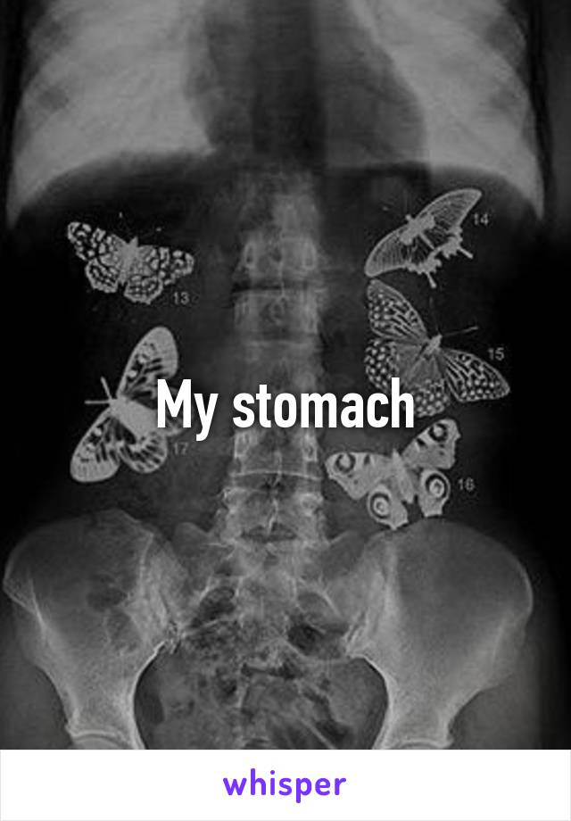 My stomach