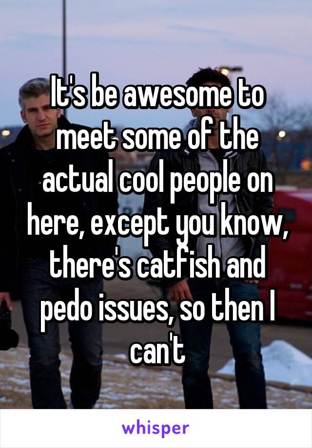 It's be awesome to meet some of the actual cool people on here, except you know, there's catfish and pedo issues, so then I can't