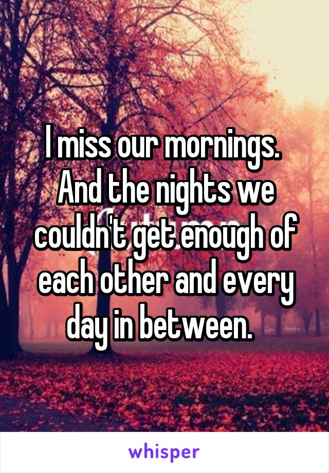 I miss our mornings.  And the nights we couldn't get enough of each other and every day in between.  