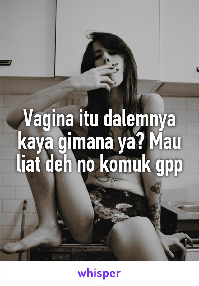 Vagina itu dalemnya kaya gimana ya? Mau liat deh no komuk gpp