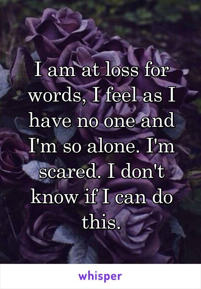 I am at loss for words, I feel as I have no one and I'm so alone. I'm scared. I don't know if I can do this.