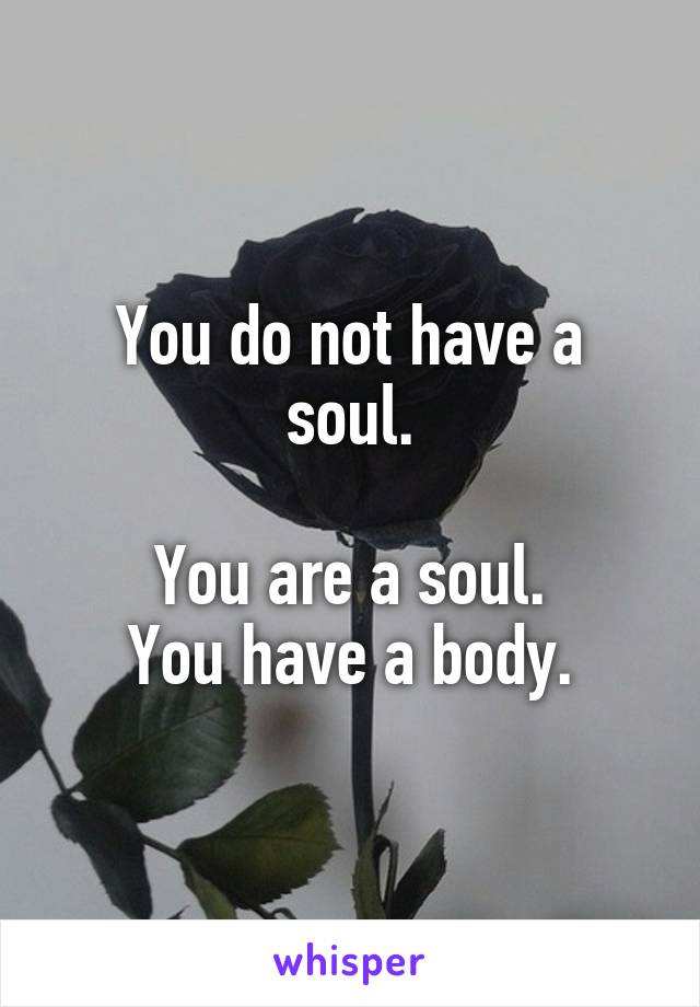 You do not have a soul.

You are a soul.
You have a body.