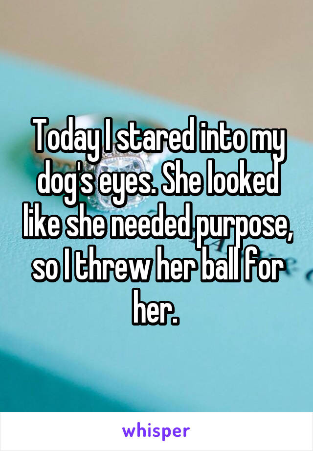 Today I stared into my dog's eyes. She looked like she needed purpose, so I threw her ball for her. 