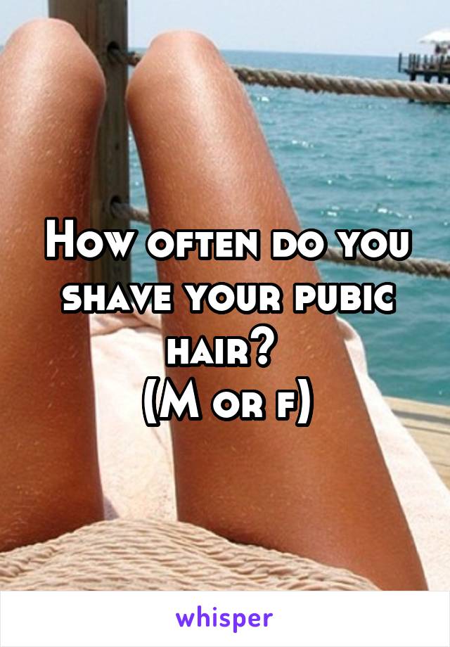 How often do you shave your pubic hair? 
(M or f)