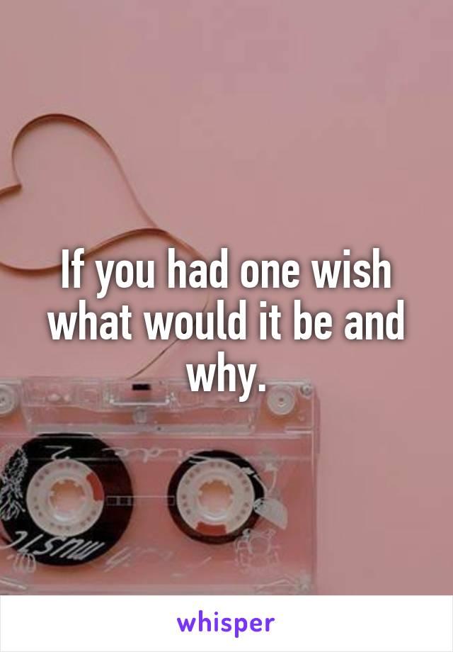 If you had one wish what would it be and why.