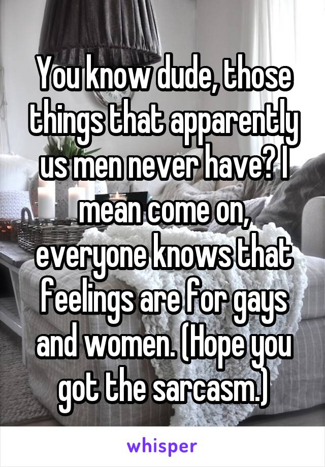 You know dude, those things that apparently us men never have? I mean come on, everyone knows that feelings are for gays and women. (Hope you got the sarcasm.)