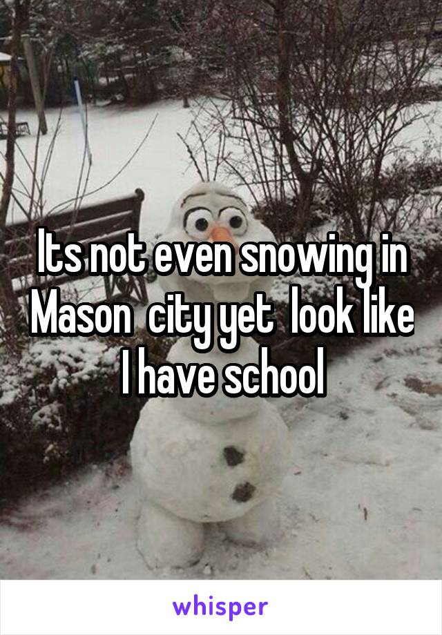 Its not even snowing in Mason  city yet  look like I have school