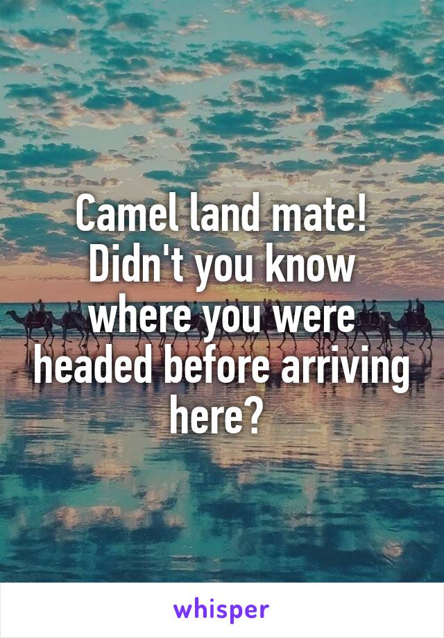 Camel land mate!
Didn't you know where you were headed before arriving here? 