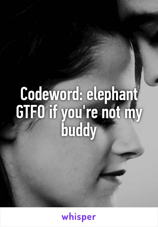 Codeword: elephant
GTFO if you're not my buddy