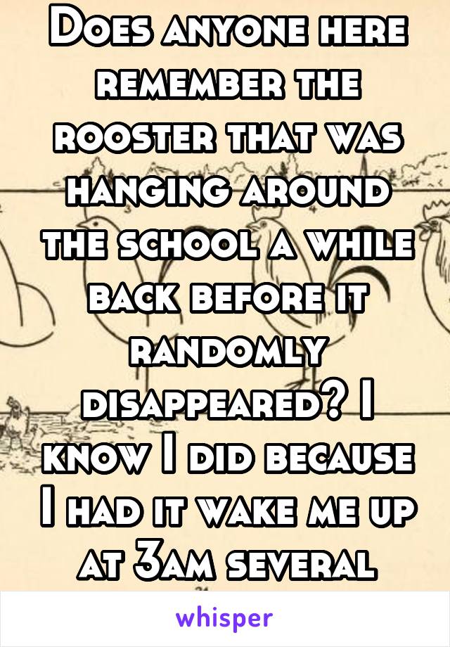 Does anyone here remember the rooster that was hanging around the school a while back before it randomly disappeared? I know I did because I had it wake me up at 3am several times