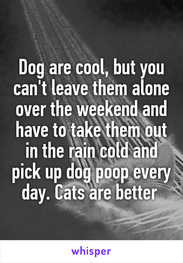 Dog are cool, but you can't leave them alone over the weekend and have to take them out in the rain cold and pick up dog poop every day. Cats are better 