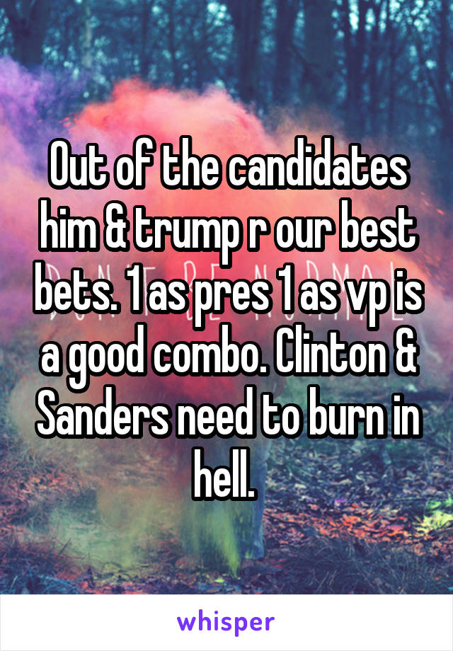 Out of the candidates him & trump r our best bets. 1 as pres 1 as vp is a good combo. Clinton & Sanders need to burn in hell. 